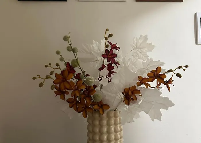 Cassa Azzurra * Sommatino